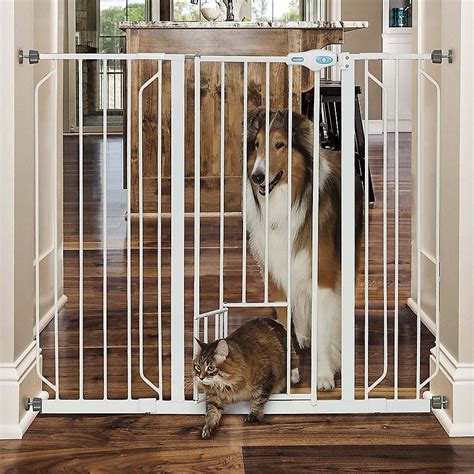 Carlson pet gates - Mar 15, 2022 · Best for Large Dogs: Internet’s Best Traditional Pet Gate; Best Pressure Mounted Gate: Carlson Walk Through Pet Gate With Small Pet Door; Best Portable Dog Gate: MYPET North States Paws Portable Pet Gate; Best Outdoor Dog Gate: Richell 6-Panel Convertible Indoor/Outdoor Playpen; Best Wooden Gate: Richell Wood Freestanding Pet Gate 